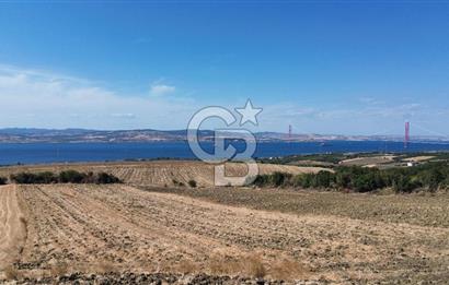 ÇANAKKALE LAPSEKİ'DE KÖPRÜ MANZARALI SATILIK TARLA