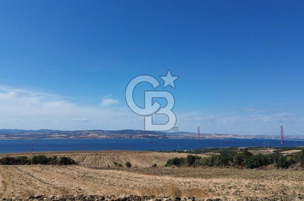 ÇANAKKALE LAPSEKİ'DE KÖPRÜ MANZARALI SATILIK TARLA