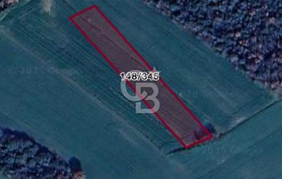 ÇANAKKALE LAPSEKİ'DE KÖPRÜ MANZARALI SATILIK TARLA