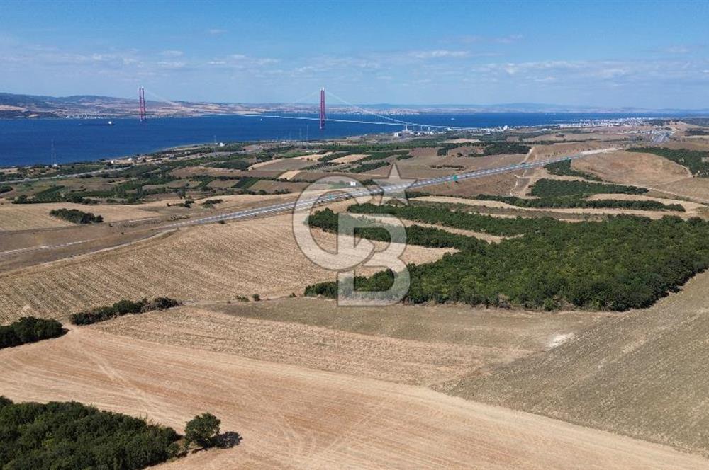 ÇANAKKALE LAPSEKİ'DE KÖPRÜ MANZARALI SATILIK TARLA