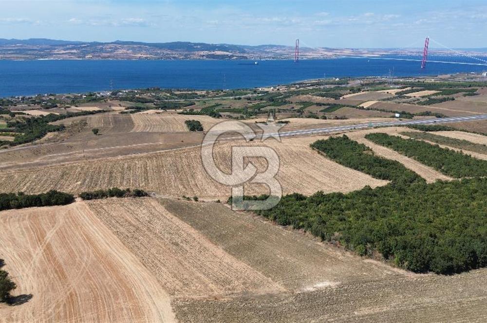 ÇANAKKALE LAPSEKİ'DE KÖPRÜ MANZARALI SATILIK TARLA