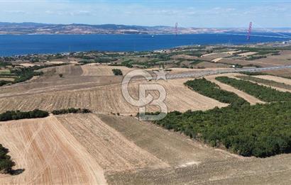 ÇANAKKALE LAPSEKİ'DE KÖPRÜ MANZARALI SATILIK TARLA