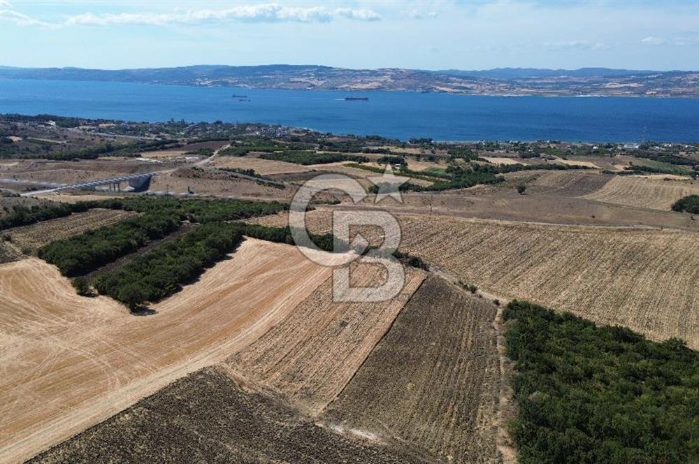 ÇANAKKALE LAPSEKİ'DE KÖPRÜ MANZARALI SATILIK TARLA