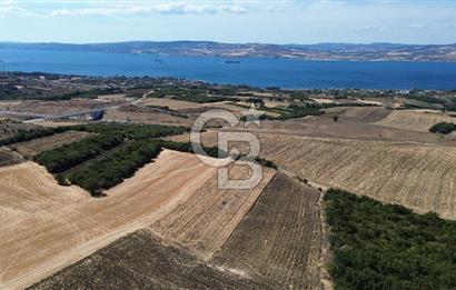 ÇANAKKALE LAPSEKİ'DE KÖPRÜ MANZARALI SATILIK TARLA