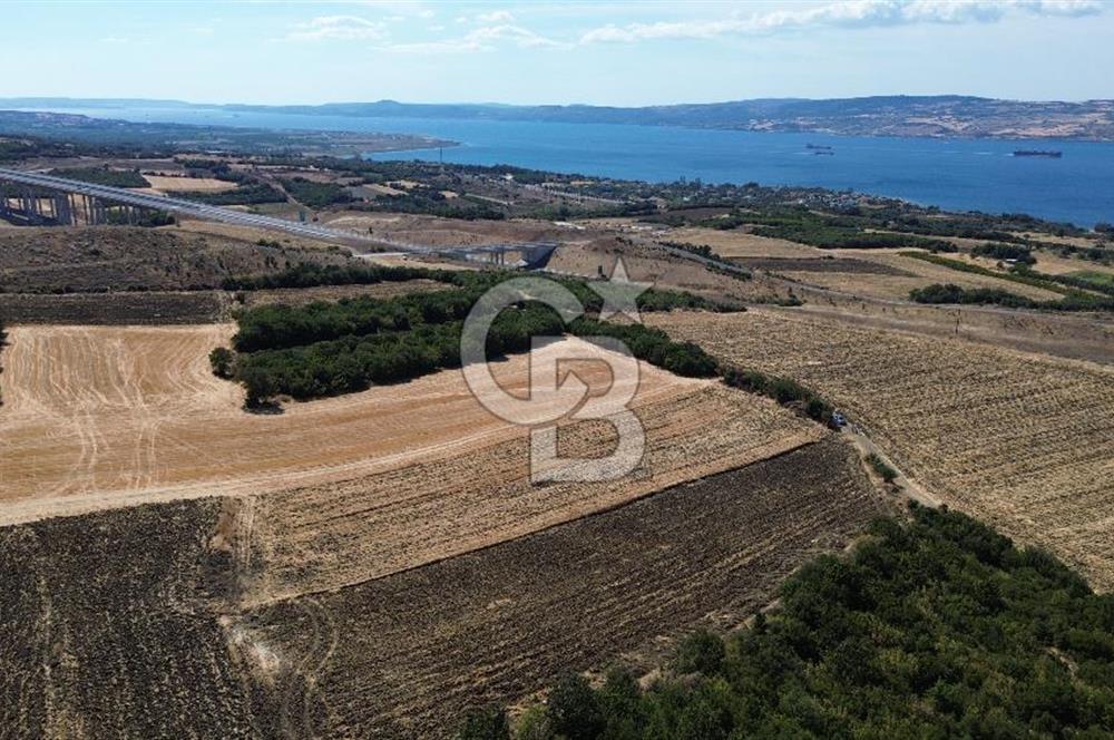 ÇANAKKALE LAPSEKİ'DE KÖPRÜ MANZARALI SATILIK TARLA