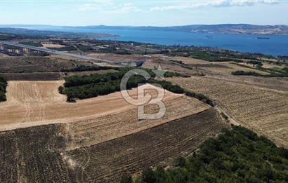 ÇANAKKALE LAPSEKİ'DE KÖPRÜ MANZARALI SATILIK TARLA