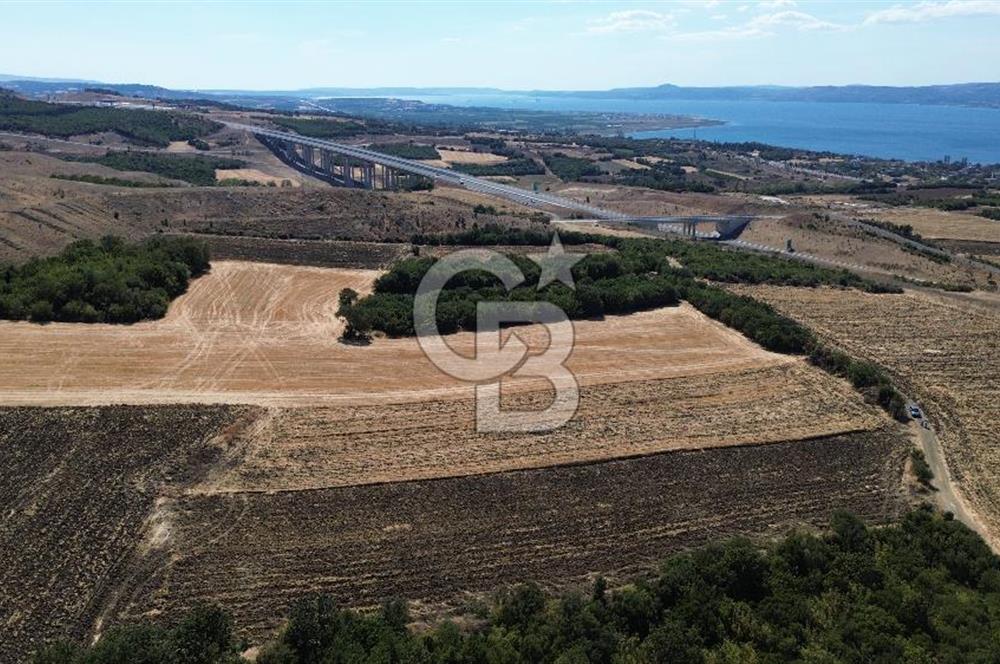 ÇANAKKALE LAPSEKİ'DE KÖPRÜ MANZARALI SATILIK TARLA