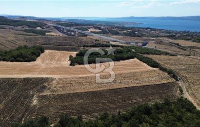 ÇANAKKALE LAPSEKİ'DE KÖPRÜ MANZARALI SATILIK TARLA