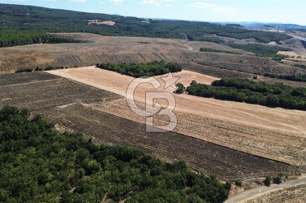 ÇANAKKALE LAPSEKİ'DE KÖPRÜ MANZARALI SATILIK TARLA