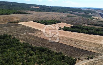 ÇANAKKALE LAPSEKİ'DE KÖPRÜ MANZARALI SATILIK TARLA