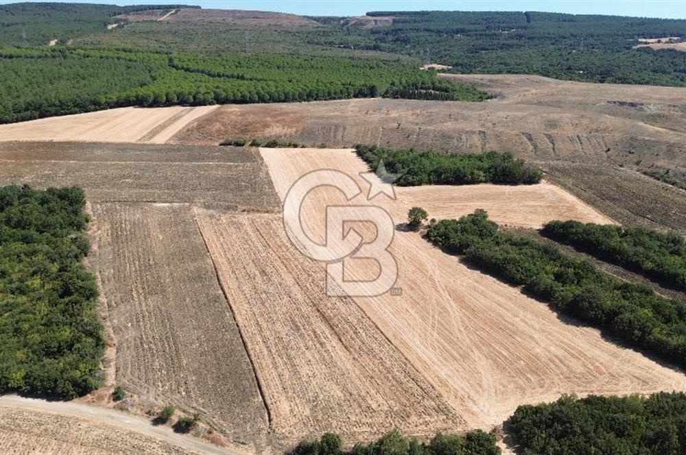 ÇANAKKALE LAPSEKİ'DE KÖPRÜ MANZARALI SATILIK TARLA