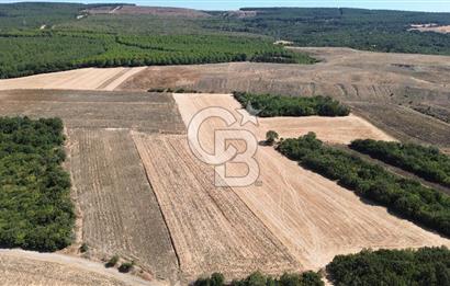 ÇANAKKALE LAPSEKİ'DE KÖPRÜ MANZARALI SATILIK TARLA
