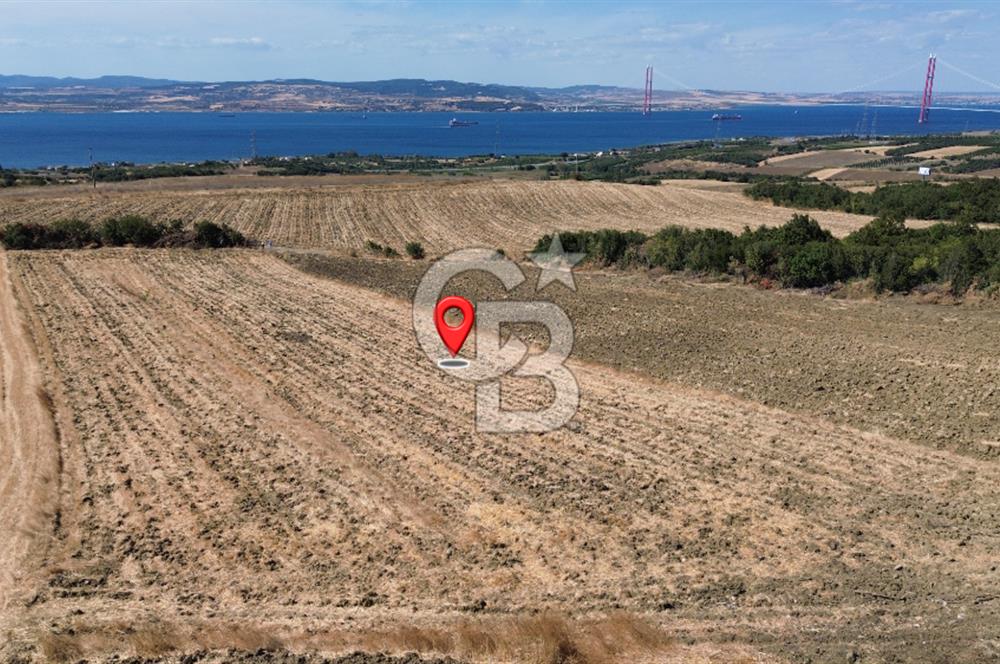 ÇANAKKALE LAPSEKİ'DE KÖPRÜ MANZARALI SATILIK TARLA