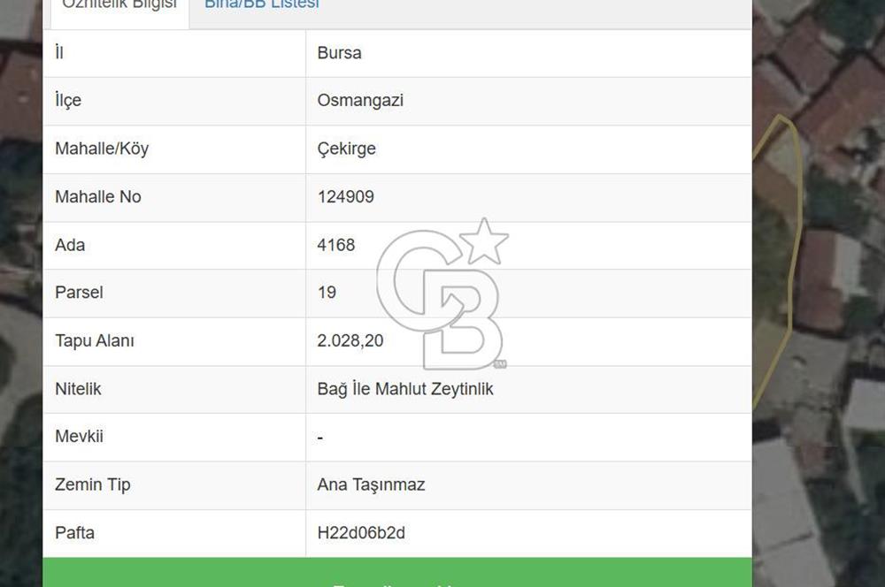 BURSA ÇEKİRGE'DE SATILIK 305 METREKARE BAĞ