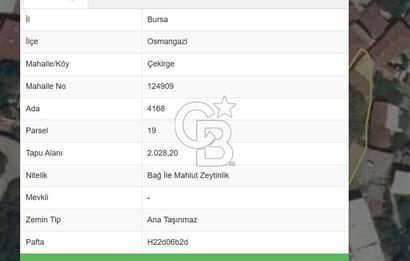 BURSA ÇEKİRGE'DE SATILIK 305 METREKARE BAĞ
