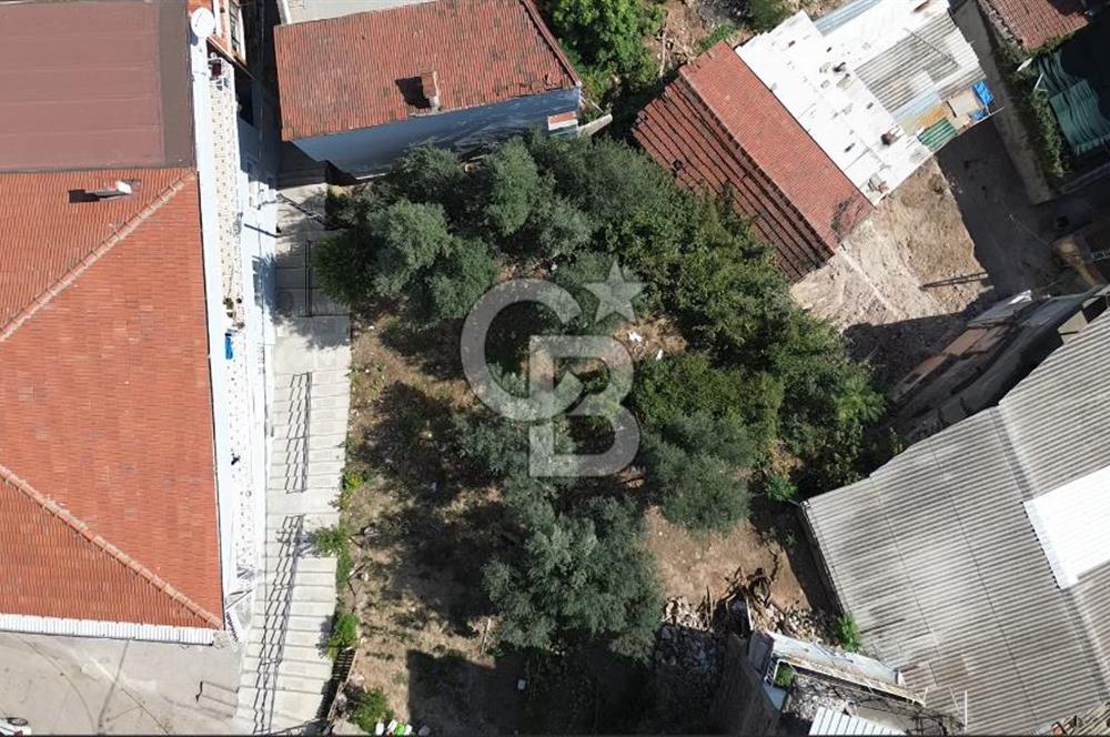 BURSA ÇEKİRGE'DE SATILIK 305 METREKARE BAĞ