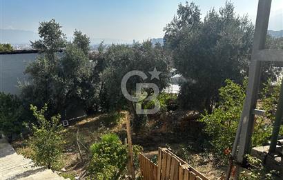 BURSA ÇEKİRGE'DE SATILIK 305 METREKARE BAĞ