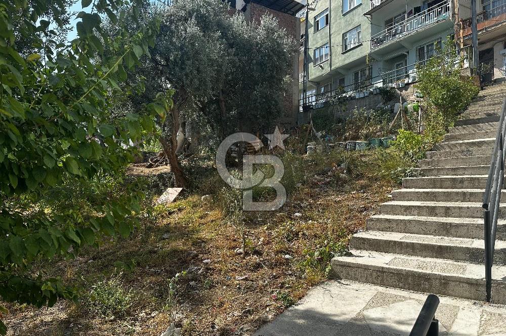 BURSA ÇEKİRGE'DE SATILIK 305 METREKARE BAĞ