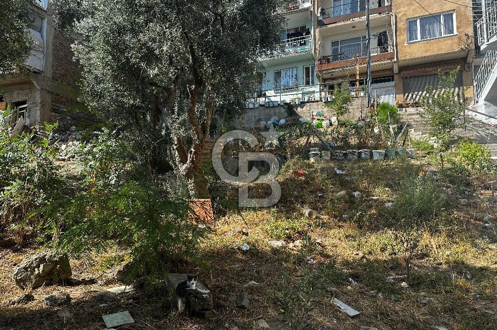 BURSA ÇEKİRGE'DE SATILIK 305 METREKARE BAĞ