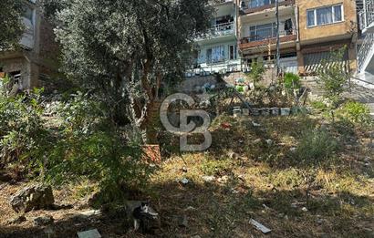 BURSA ÇEKİRGE'DE SATILIK 305 METREKARE BAĞ