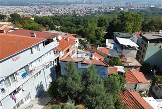 BURSA ÇEKİRGE'DE SATILIK 305 METREKARE BAĞ