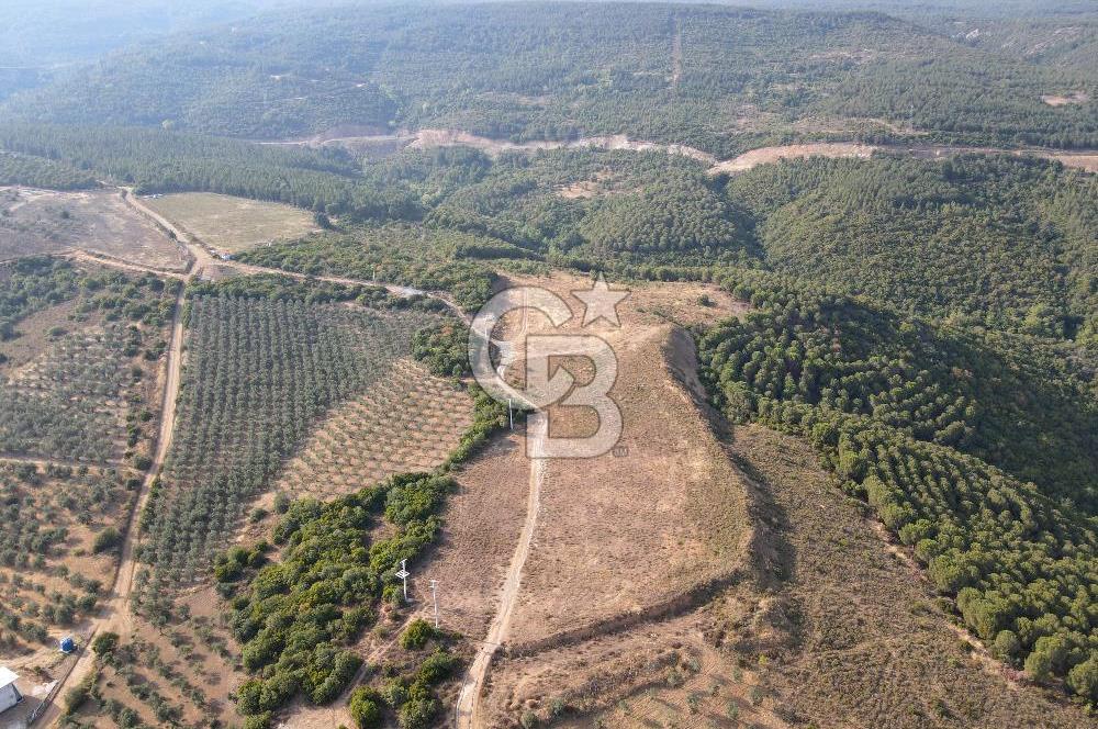 CB EAGLE'dan NARLI'DA 19.944 m² SATILIK SOSYAL TESİS İMARLI ARSA
