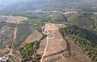 CB EAGLE'dan NARLI'DA 19.944 m² SATILIK SOSYAL TESİS İMARLI ARSA