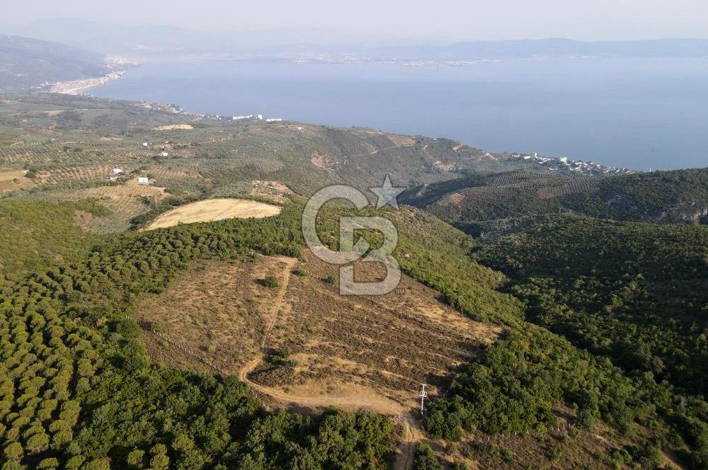 CB EAGLE'dan NARLI'DA 12.422 m² SATILIK SOSYAL TESİS İMARLI ARSA