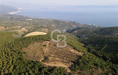 CB EAGLE'dan NARLI'DA 12.422 m² SATILIK SOSYAL TESİS İMARLI ARSA