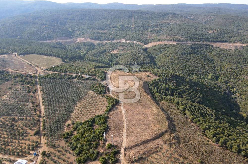 CB EAGLE'dan NARLI'DA 19.944 m² SATILIK SOSYAL TESİS İMARLI ARSA