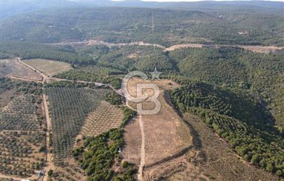CB EAGLE'dan NARLI'DA 19.944 m² SATILIK SOSYAL TESİS İMARLI ARSA