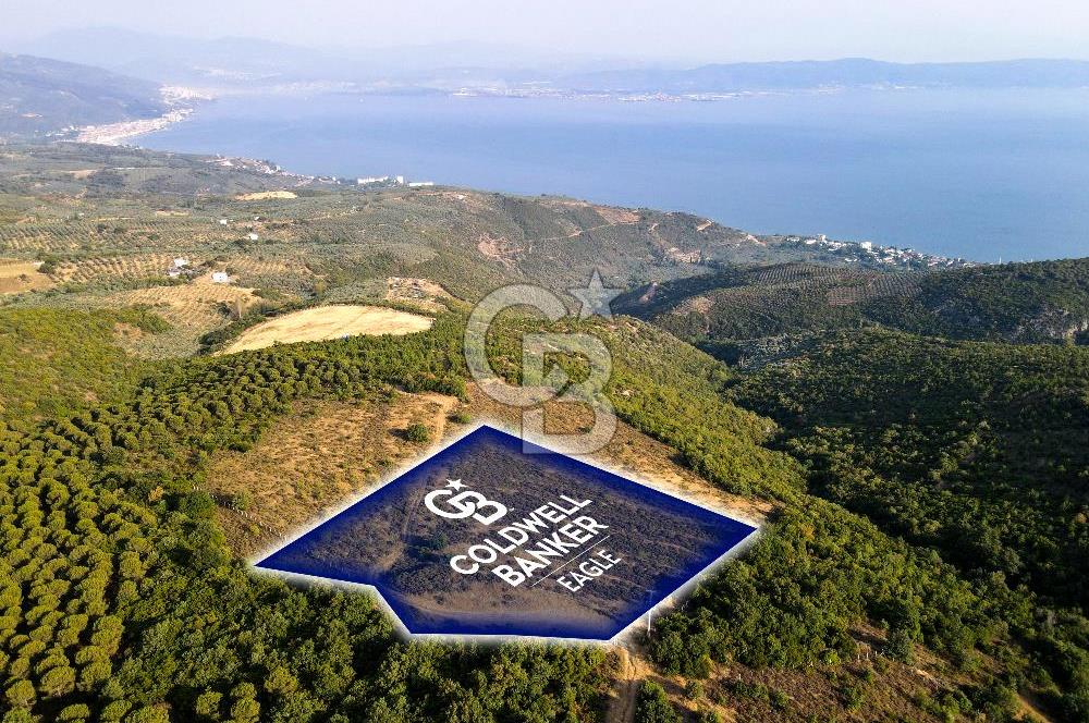 CB EAGLE'dan NARLI'DA 12.422 m² SATILIK SOSYAL TESİS İMARLI ARSA