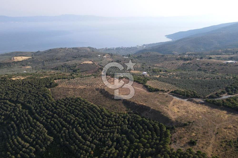 CB EAGLE'dan NARLI'DA 19.944 m² SATILIK SOSYAL TESİS İMARLI ARSA
