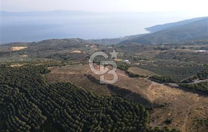 CB EAGLE'dan NARLI'DA 19.944 m² SATILIK SOSYAL TESİS İMARLI ARSA