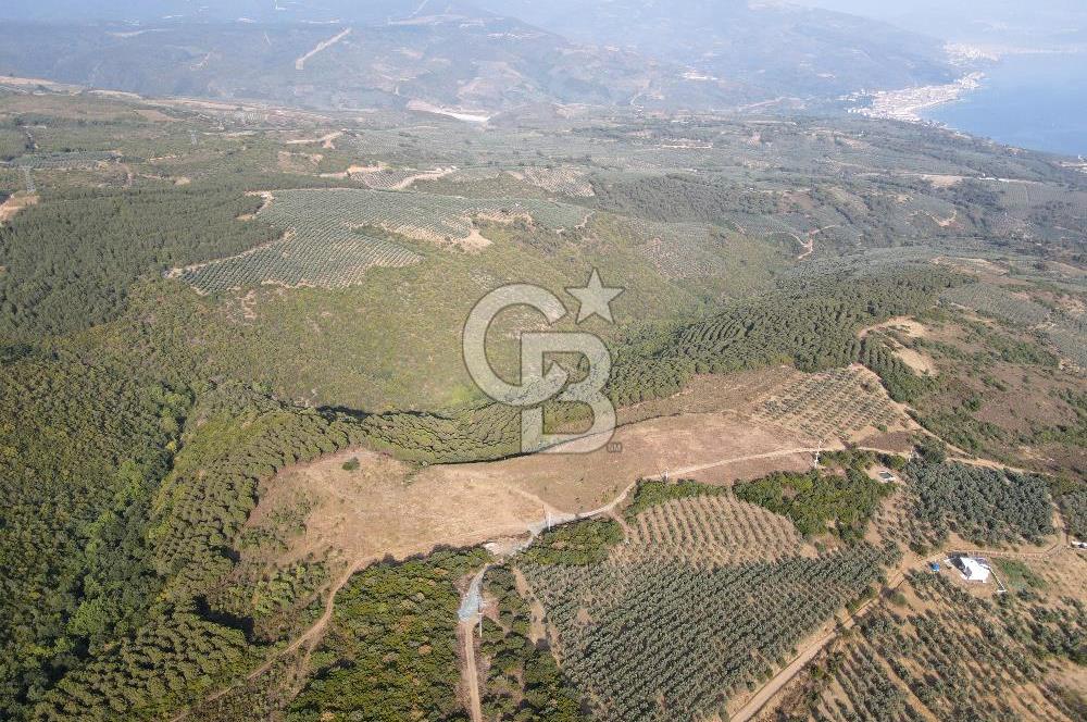 CB EAGLE'dan NARLI'DA 19.944 m² SATILIK SOSYAL TESİS İMARLI ARSA