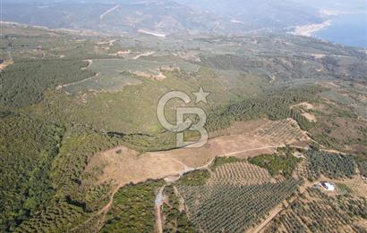 CB EAGLE'dan NARLI'DA 19.944 m² SATILIK SOSYAL TESİS İMARLI ARSA