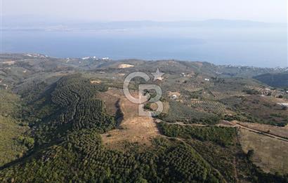 CB EAGLE'dan NARLI'DA 19.944 m² SATILIK SOSYAL TESİS İMARLI ARSA