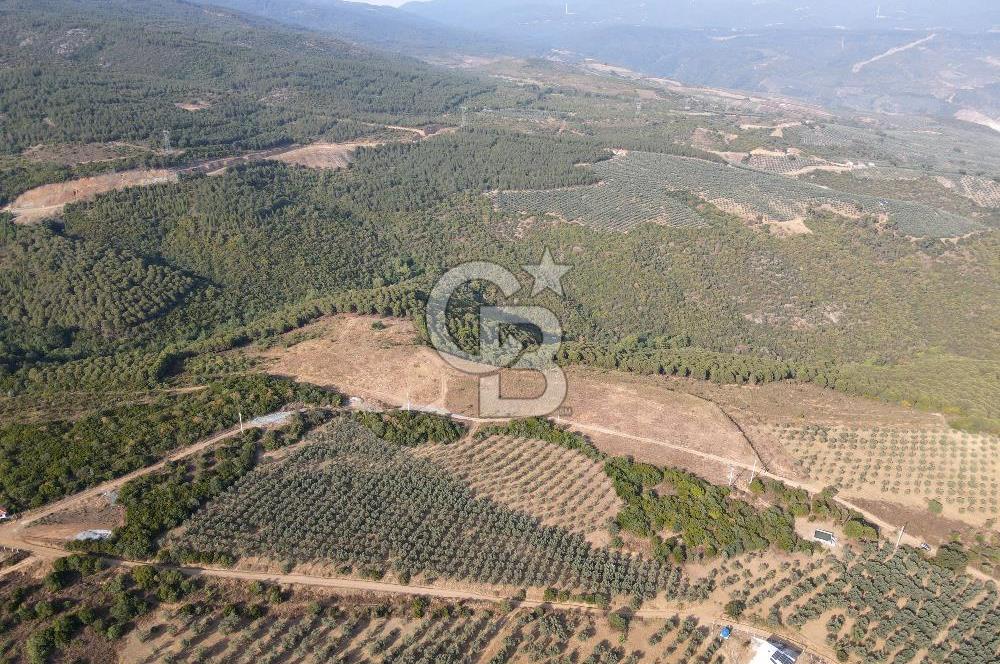 CB EAGLE'dan NARLI'DA 19.944 m² SATILIK SOSYAL TESİS İMARLI ARSA
