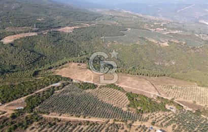 CB EAGLE'dan NARLI'DA 19.944 m² SATILIK SOSYAL TESİS İMARLI ARSA