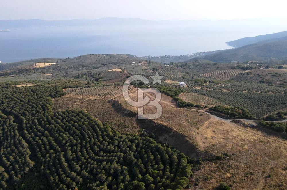 CB EAGLE'dan NARLI'DA 19.944 m² SATILIK SOSYAL TESİS İMARLI ARSA