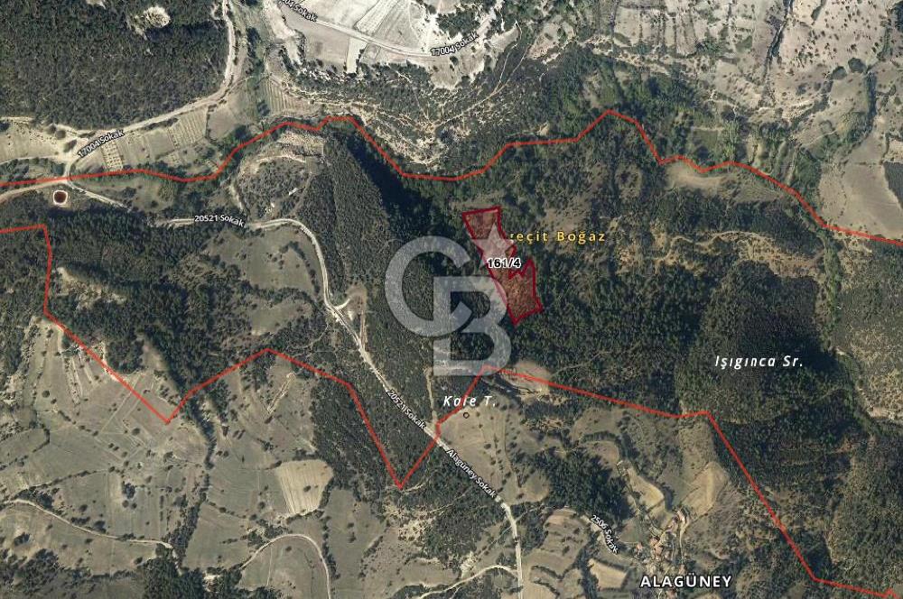 CB EAGLE'dan DURSUNBEY GÖKÇEDAĞ'DA 12.966 m² SATILIK TARLA