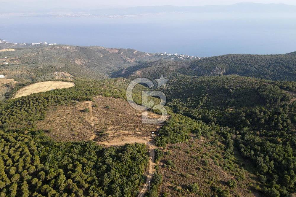 CB EAGLE'dan NARLI'DA 19.944 m² SATILIK SOSYAL TESİS İMARLI ARSA