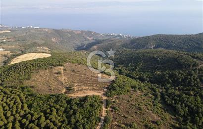 CB EAGLE'dan NARLI'DA 19.944 m² SATILIK SOSYAL TESİS İMARLI ARSA