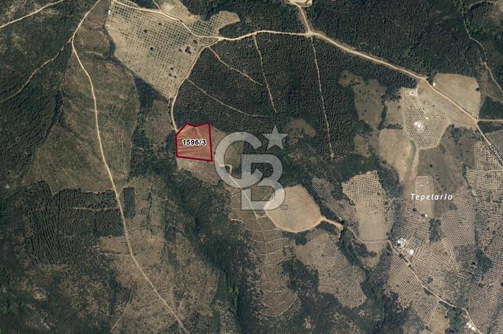 CB EAGLE'dan NARLI'DA 12.422 m² SATILIK SOSYAL TESİS İMARLI ARSA