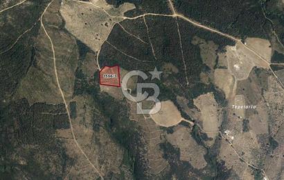 CB EAGLE'dan NARLI'DA 12.422 m² SATILIK SOSYAL TESİS İMARLI ARSA