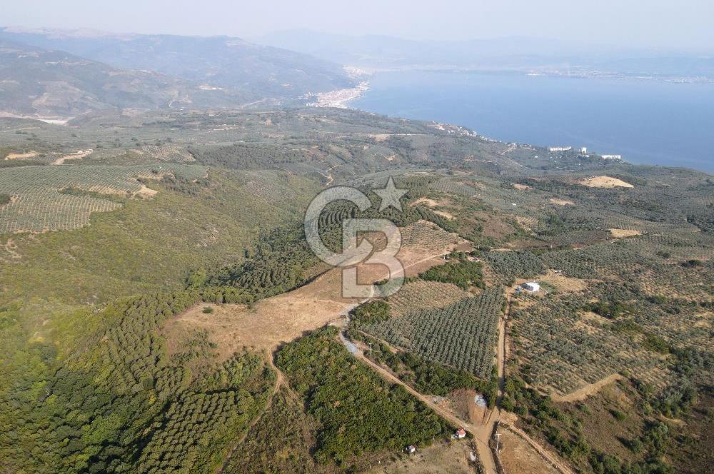 CB EAGLE'dan NARLI'DA 19.944 m² SATILIK SOSYAL TESİS İMARLI ARSA