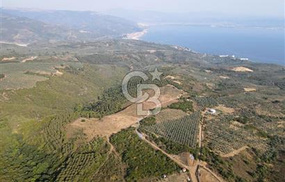CB EAGLE'dan NARLI'DA 19.944 m² SATILIK SOSYAL TESİS İMARLI ARSA