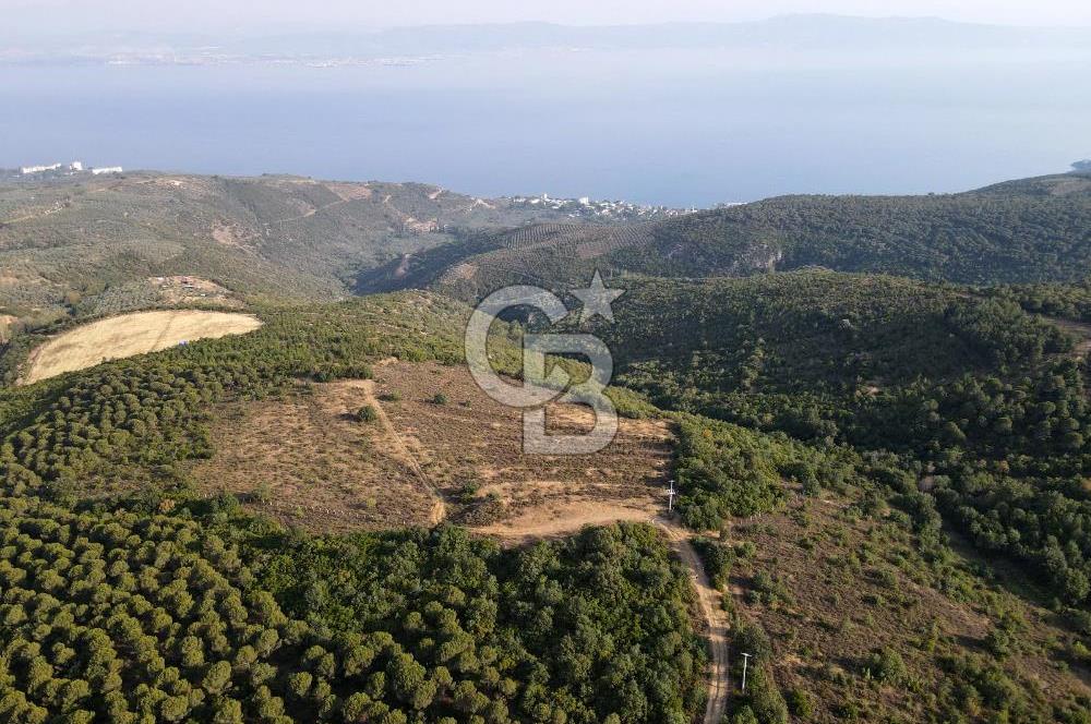CB EAGLE'dan NARLI'DA 12.422 m² SATILIK SOSYAL TESİS İMARLI ARSA