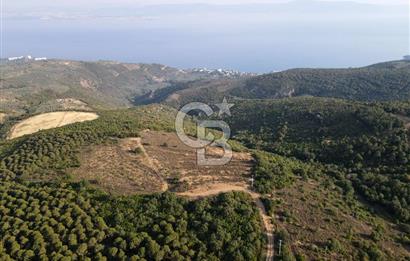 CB EAGLE'dan NARLI'DA 12.422 m² SATILIK SOSYAL TESİS İMARLI ARSA
