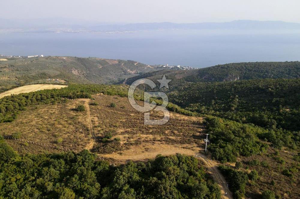 CB EAGLE'dan NARLI'DA 12.422 m² SATILIK SOSYAL TESİS İMARLI ARSA